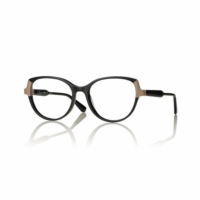 Montatura Centro Style F069253365000 - Occhiali da vista pantos neri nero / marrone disponibile da Carl Ottica
