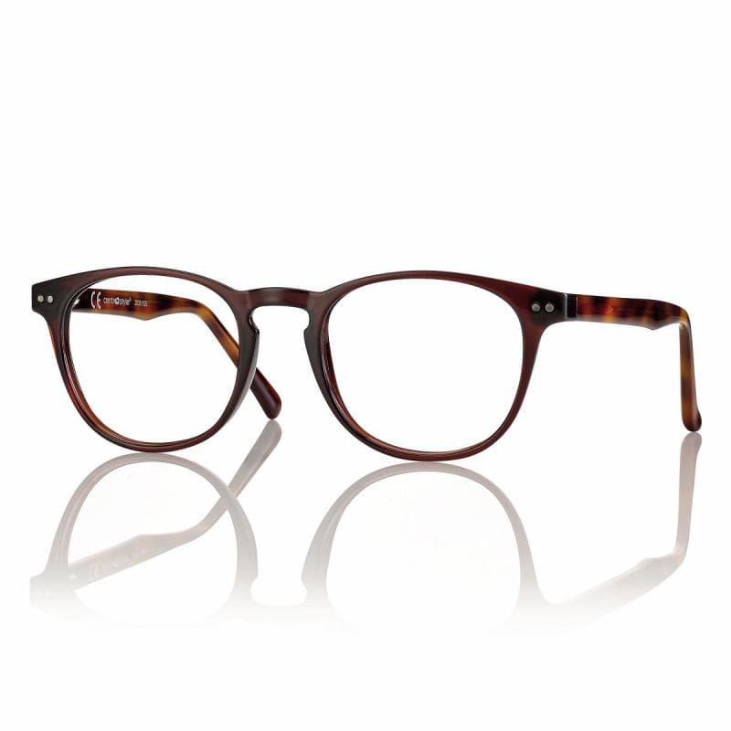 Montatura Centro Style F021849063000N - Occhiali da vista pantos marroni marrone / tartarugato lucido disponibile da Carl Ottica