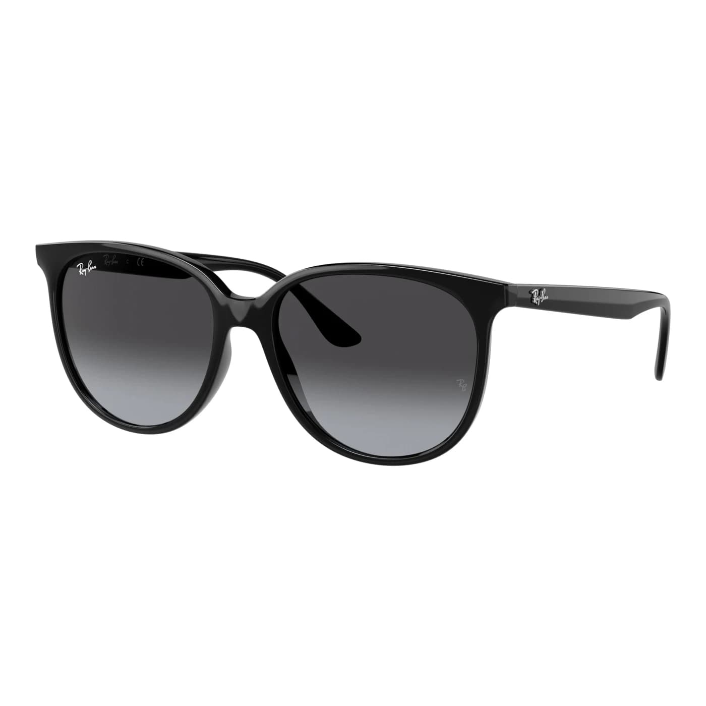 Montatura Ray-Ban 4378 - Occhiali da sole pantos neri Nero disponibile da Carl Ottica
