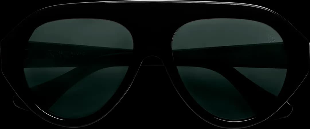Montatura Giorgio Nannini REGINA - Occhiali da sole cat-eye neri Nero disponibile da Carl Ottica