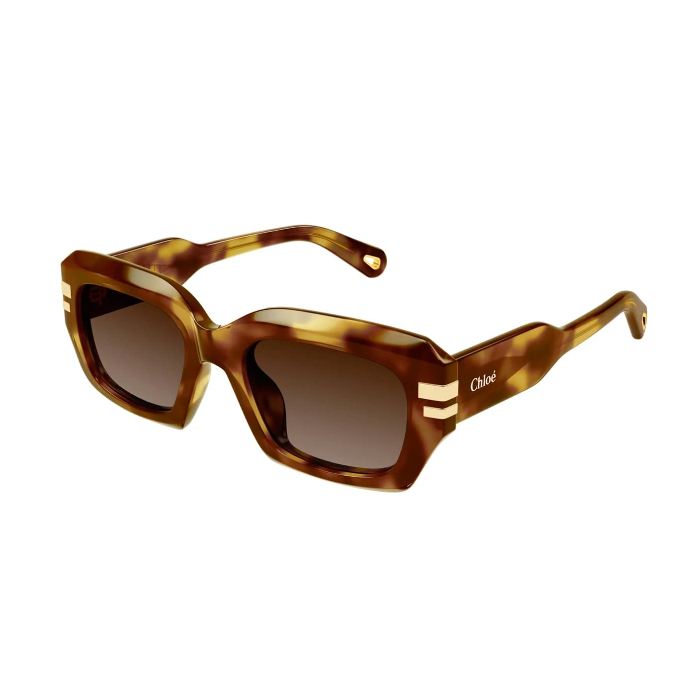 Montatura Chloé CH0256S - Occhiali da sole quadrati marroni tartarugato disponibile da Carl Ottica