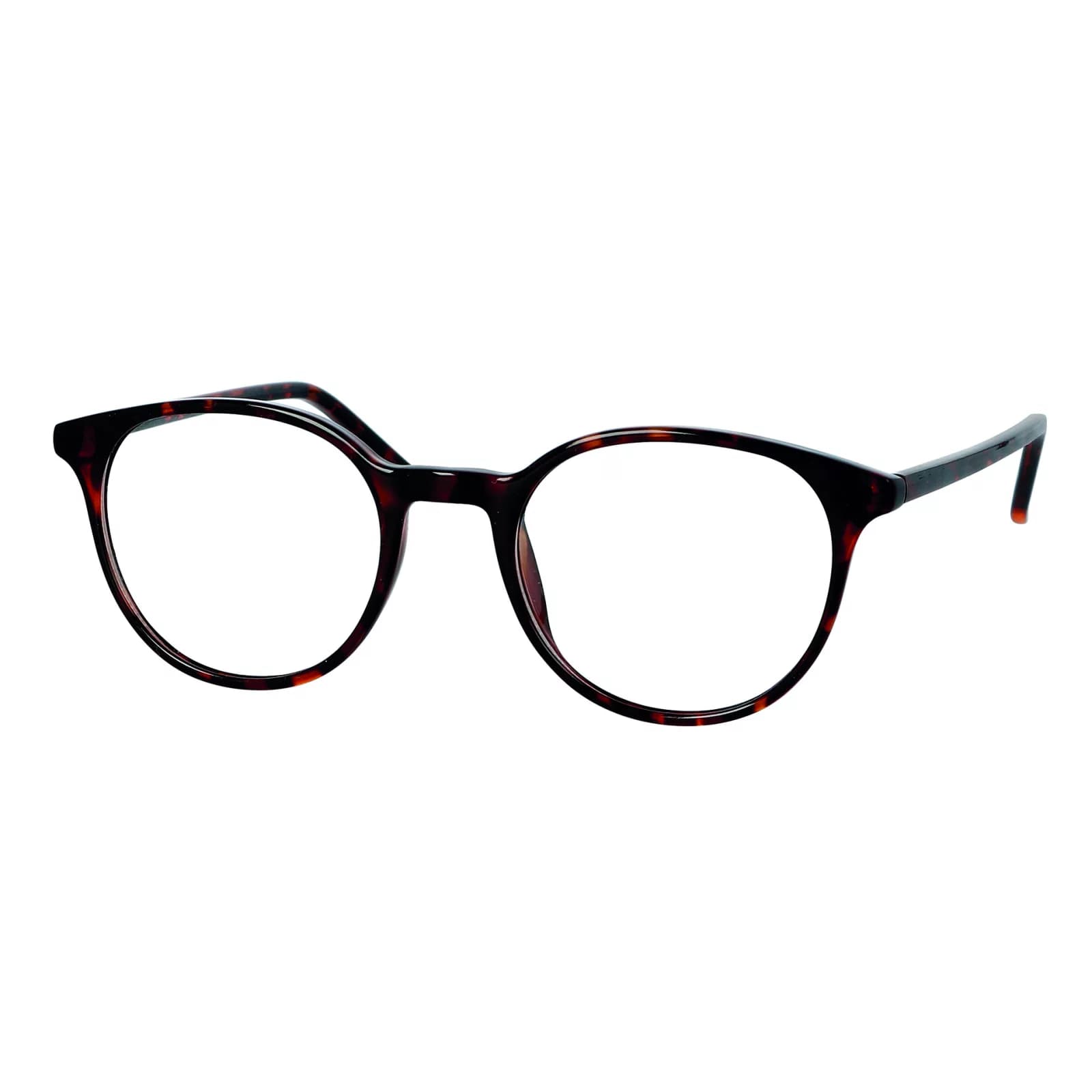 Montatura Centro Style 19888NF - Occhiali da vista pantos marroni tartarugato lucido disponibile da Carl Ottica